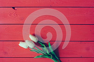 White tulips on a red wooden background with space for text