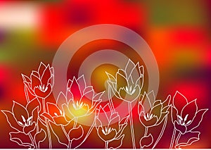 White tulips silhouettes background