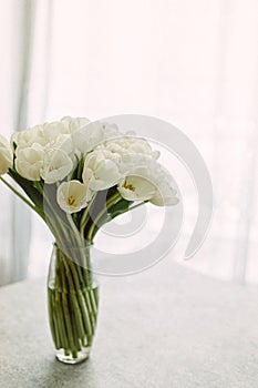 White tulips in transparent vase on color background. Spring concept. Retro film grain picture