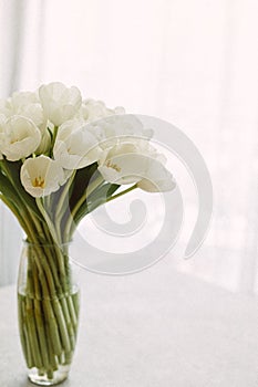 White tulips in transparent vase on color background. Spring concept. Retro film grain picture