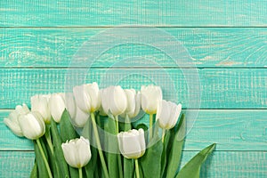 White tulips on wooden turquoise background. Greeting card template