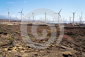 White turbines at wind farm with power station and sea in background, arid landscape on sunny summer day