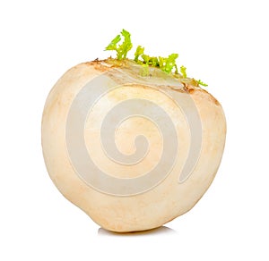 White turnip isolated on the white background