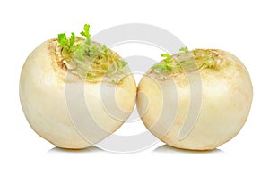 White turnip isolated on the white background