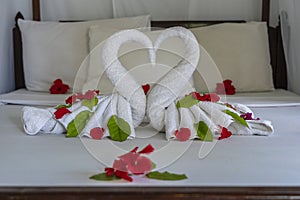 White two towel swans and red flowers on the bed in a hotel room