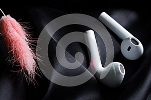 White TWS headphones in a black silk next to a spikelet of dried flowers. Concept of the effective operation of the noise