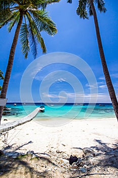 White umbrella and chairs under coconut tree