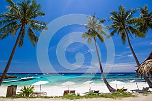 White umbrella and chairs under coconut tree