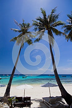 White umbrella and chairs under coconut tree
