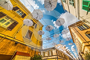 White umbrellas in downtown Sassari photo