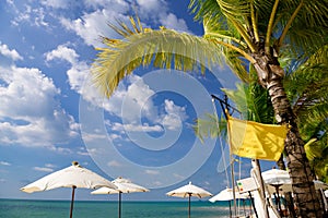 White umbrellas near the palm tree and yellow flag