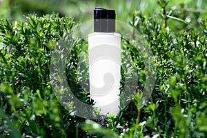 White unbranded dispenser bottle in meadow of flowers Galium aparine cleavers, clivers, goosegrass sticky willy, stickyjack,