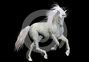 White unicorn