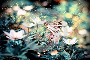 White unicorn with butterfly wings on flower