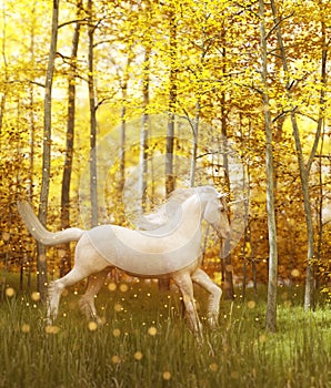 White unicorn in magical forest