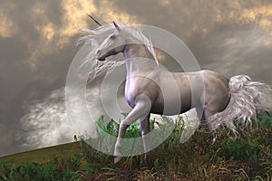 Bianco unicorno stallone 