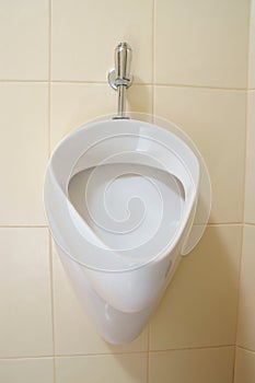 White urinal, pissoir on wall