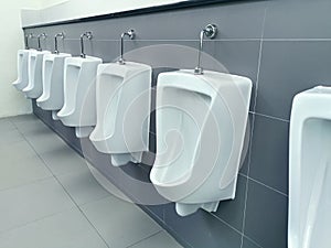 White urinals in men`s bathroom,toilet men`s room