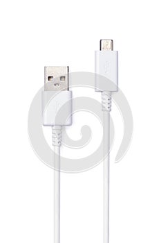 White USB and micro USB cable plug