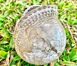 White used old cricket ball on a ground