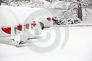 White Vans Snowed in