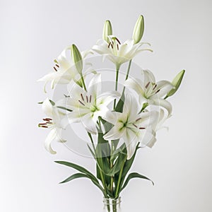 Vibrant White Lilies In Focus Stacking: High Resolution Commercial Photography photo