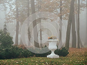 White vase sculpture in the fog in the fall. Gomel, Belarus