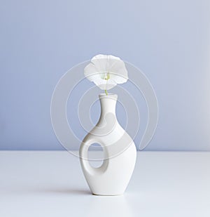 white vase and white flower on abstract  light blue background