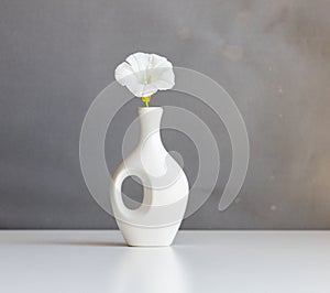 white vase and white flower on vintage grey background