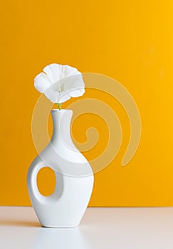 white vase and white flower on yellow background