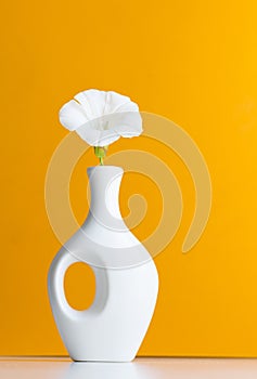 white vase and white flower on yellow background