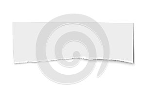 White vector elongate paper tear isolated on white background photo