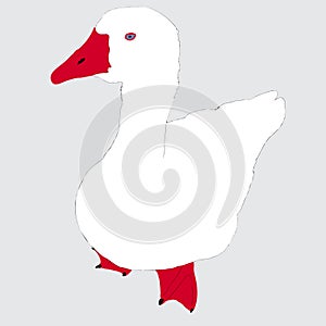 White Vector goose