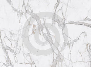 white veined marble texture for floor and wall