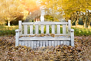 White vintage bench in autumn park