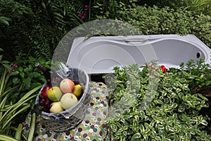 White vintage style bathtub in a garden. Fruit wine and bath.