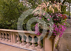 White and Violet flowers on Railing Corner