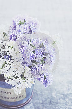 White and violet lilac flowers in vintage vase on grey background