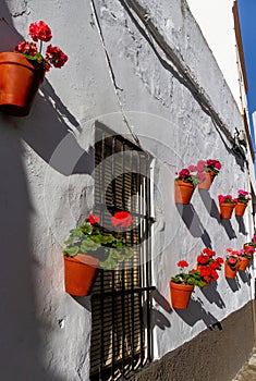 Andalusian house wall adorned with flowers