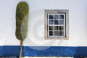 White wall with blue stripe, window and tree