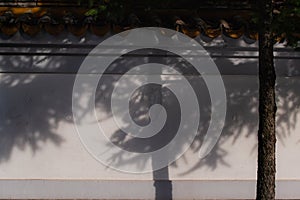 White wall of Chinese building with orange red decorative roof tiles. Beautiful shadow of tree branches on light house