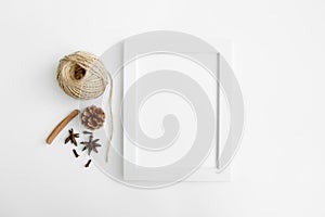 white wall and dark tree decoration Modern frames desk home decoration with frame photo and mock up white frame and dry twigs in