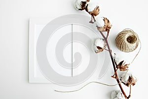 White wall and dark tree decoration Modern frames desk home decoration with frame photo and mock up white frame and dry twigs in