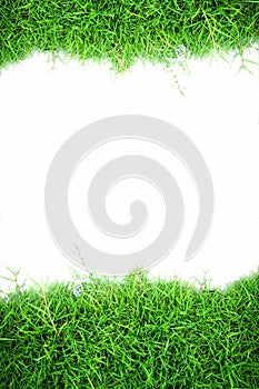 white wall and green grass background