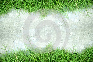 white wall and green grass background