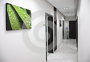 White wall hallway, wet green leaf image hanging