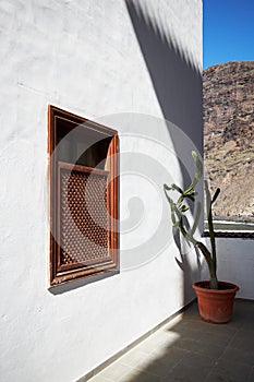 White wall house with a big cactus