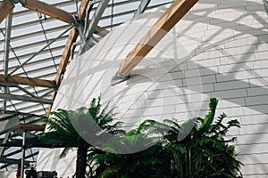 White wall and a roof inside Louis Vuitton foundation building photo