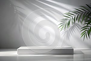 White Wall Studio Background