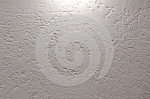 White wall texture bark beetle